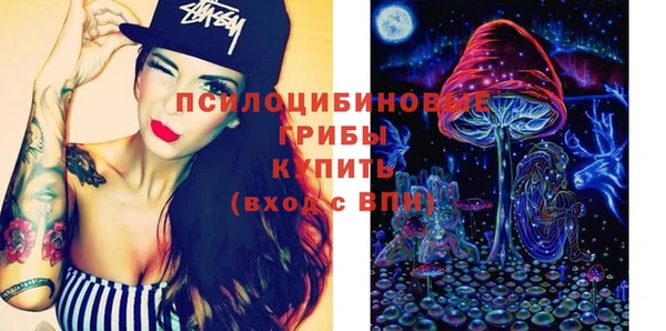 spice Алексеевка