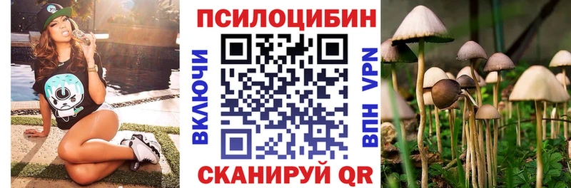 Псилоцибиновые грибы мухоморы  кракен tor  Касимов 