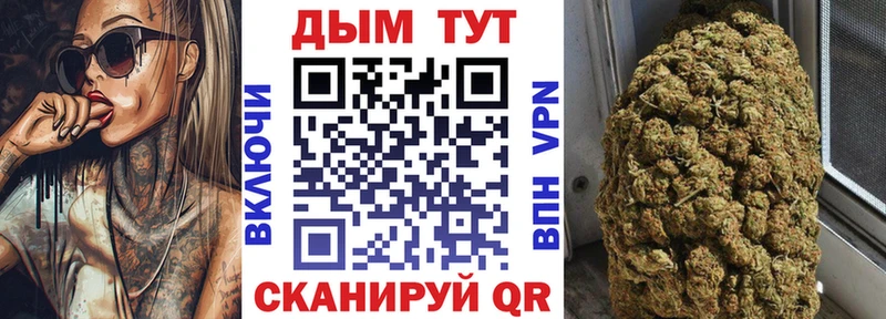 где купить наркоту  Касимов  Конопля планчик 